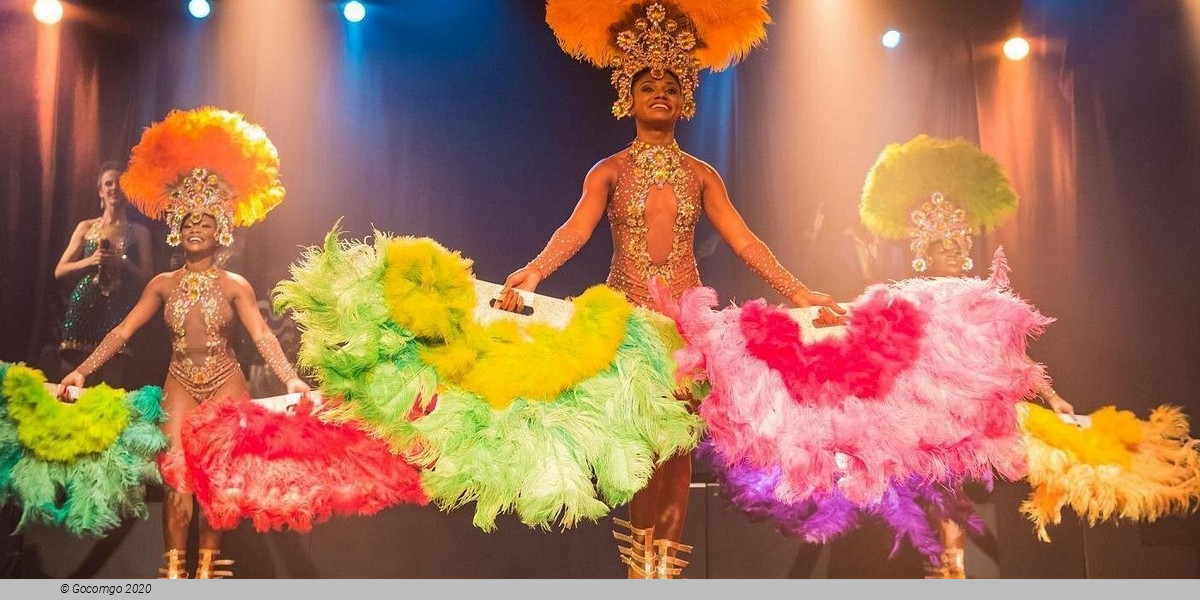 Authentic Evening in Rio de Janeiro: Samba Show with Dinner