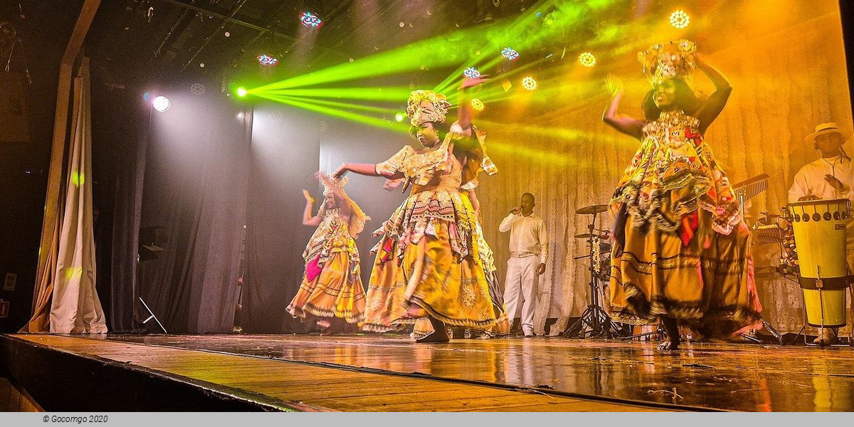 Authentic Evening in Rio de Janeiro: Samba Show with Dinner