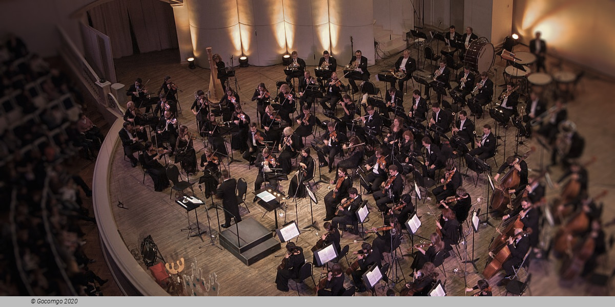 The Infinite Will, photo 1