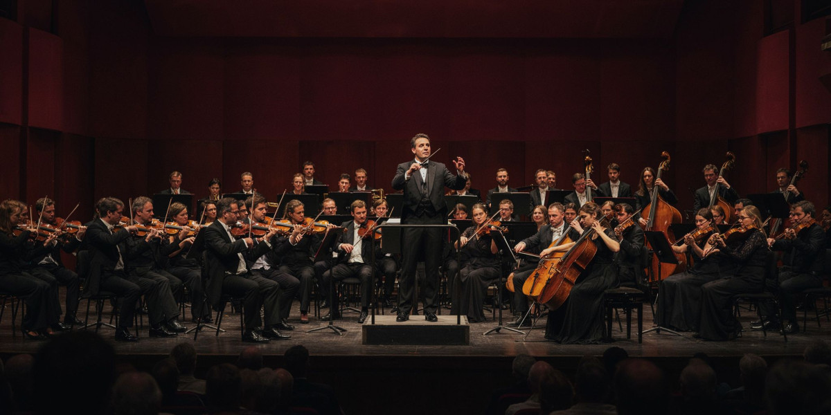 Kian Soltani plays Dvořák, photo 1
