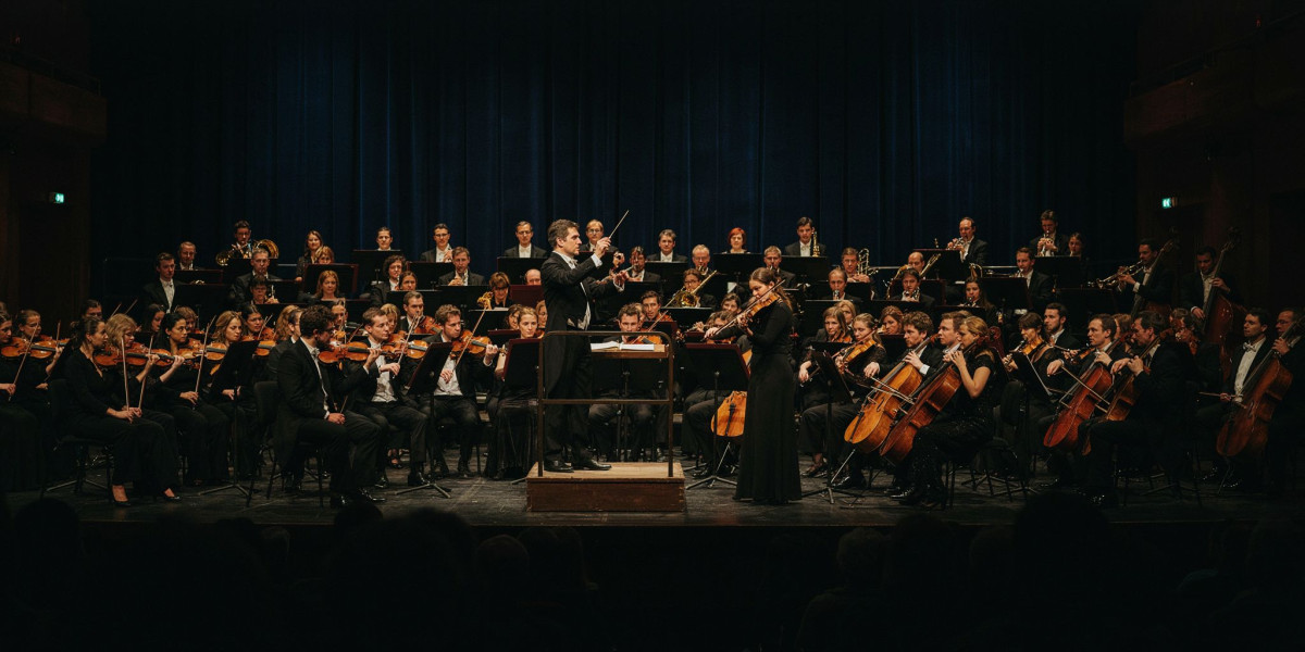 Sibelius Violin Concerto, photo 1