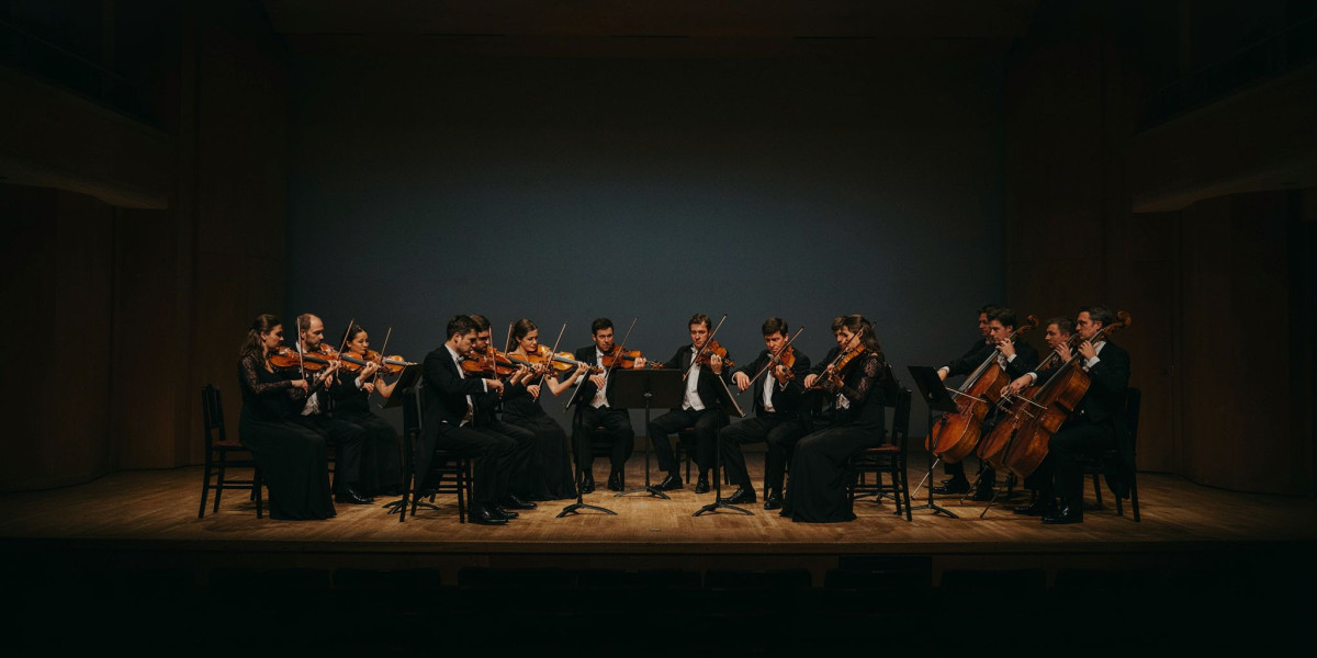 The Purcell School Chamber Soloists / Alex Redington, photo 1
