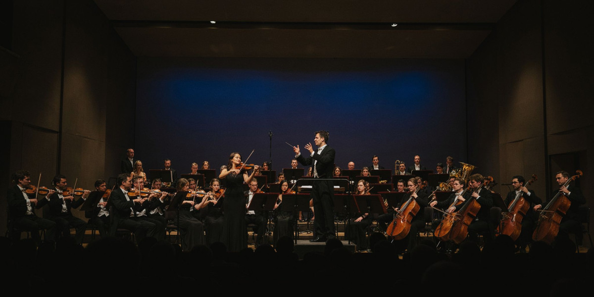 Gianandrea Noseda & Leonidas Kavakos, photo 1