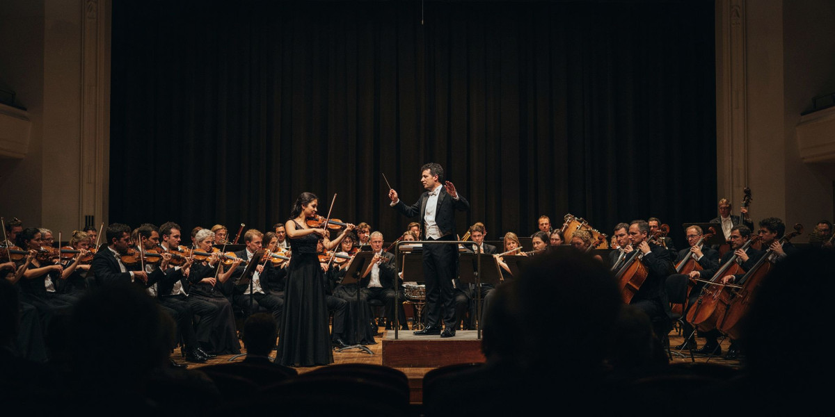 Beethoven Violin Concerto, photo 1