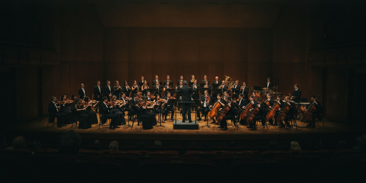 New Year's Piccadilly Family Concert, photo 1