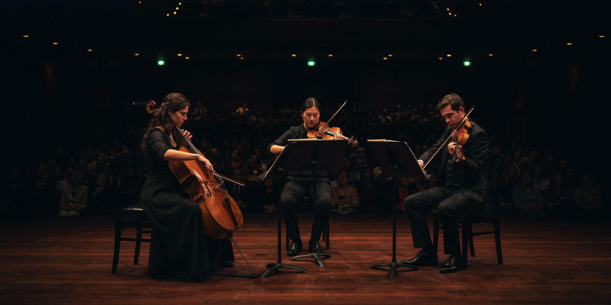 Sol Gabetta; Hana Chang; Timothy Ridout, photo 1