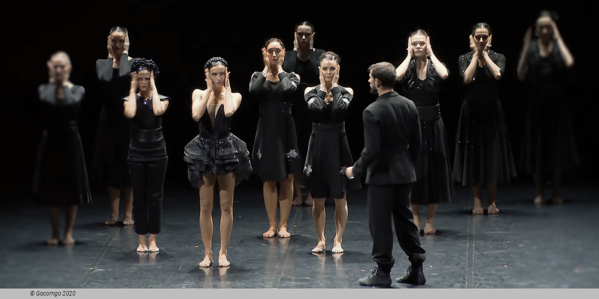 Swan Lake by Angelin Preljocaj