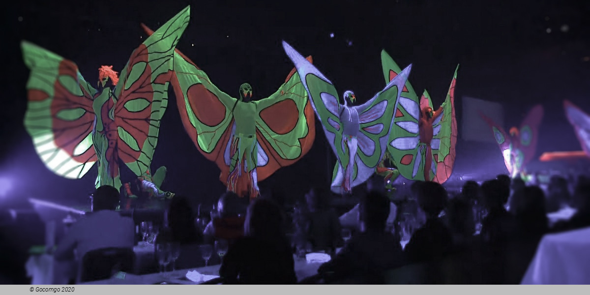 Son Amar schedule & tickets Son Amar schedule & tickets