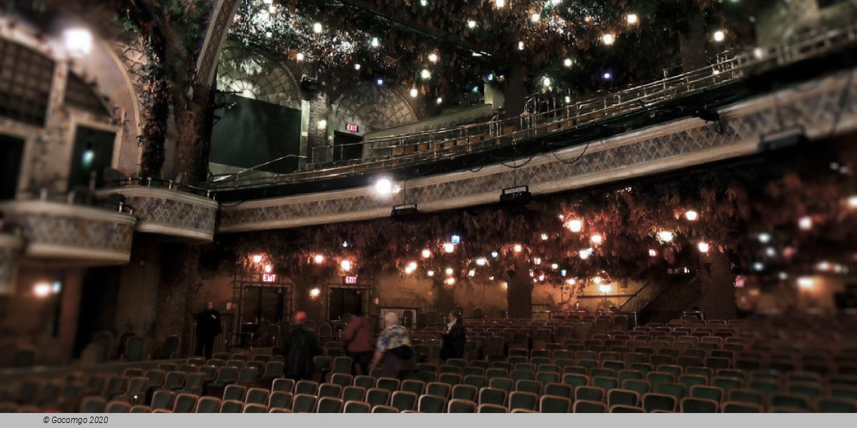 Back to the Future: the Musical (Winter Garden Theatre) schedule & tickets Back to the Future: the Musical (Winter Garden Theatre) schedule & tickets