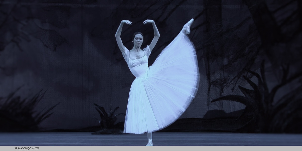 Giselle, photo 4