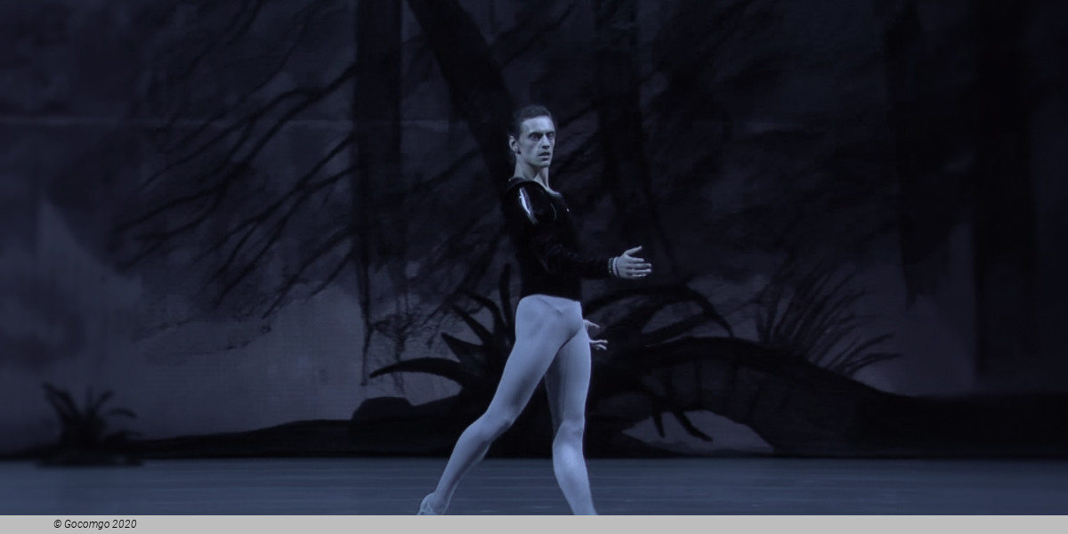 Giselle, photo 5