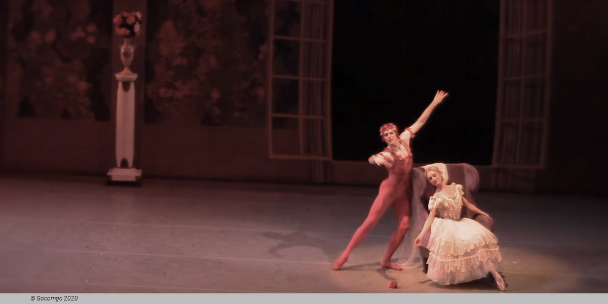 Le Spectre de la rose, photo 13