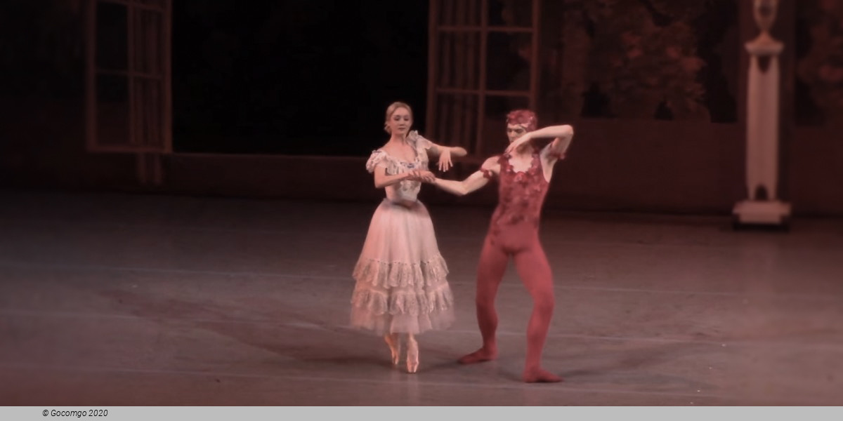 Le Spectre de la rose, photo 14