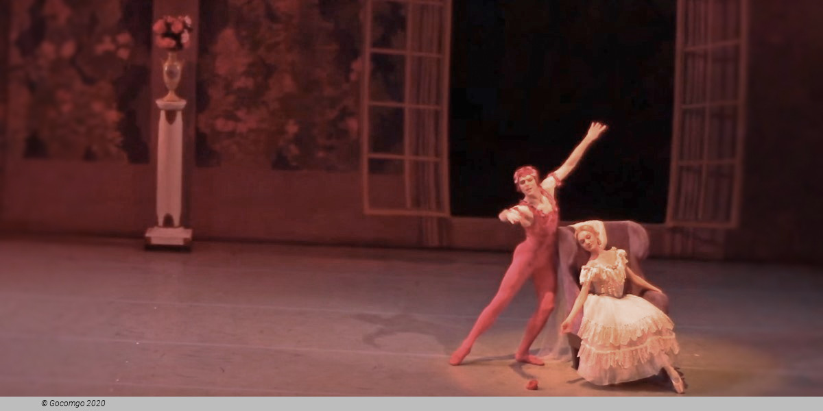 Le Spectre de la rose, photo 15