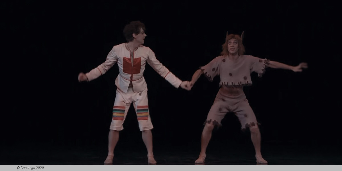 The Little Humpbacked Horse, photo 6