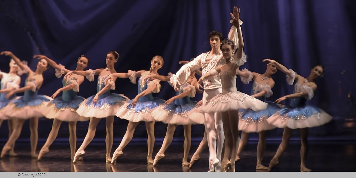Paquita, photo 3