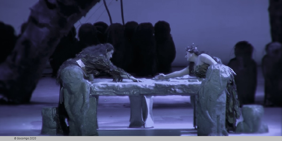 Siegfried, photo 2