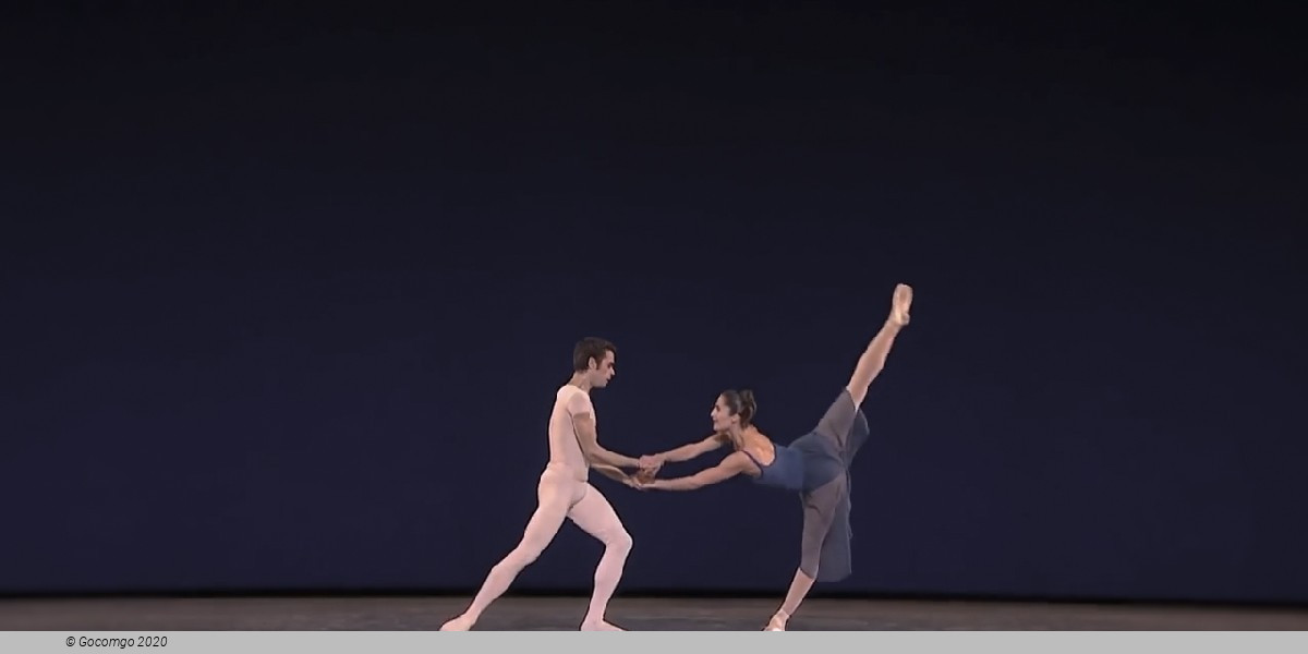 Opus 19 / The Dreamer, photo 6