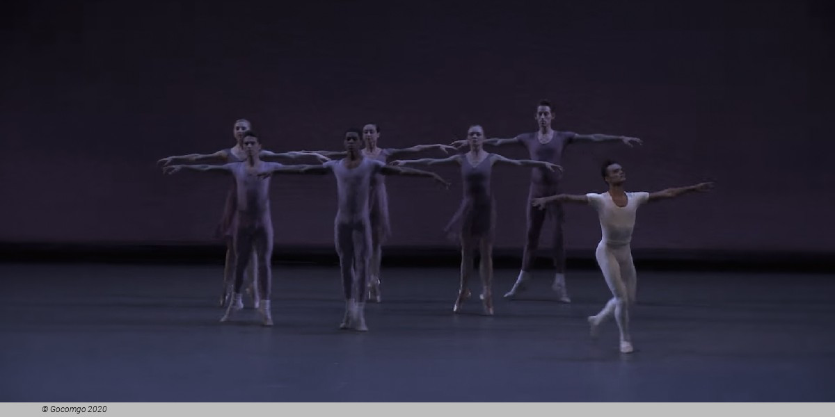 Opus 19 / The Dreamer, photo 7