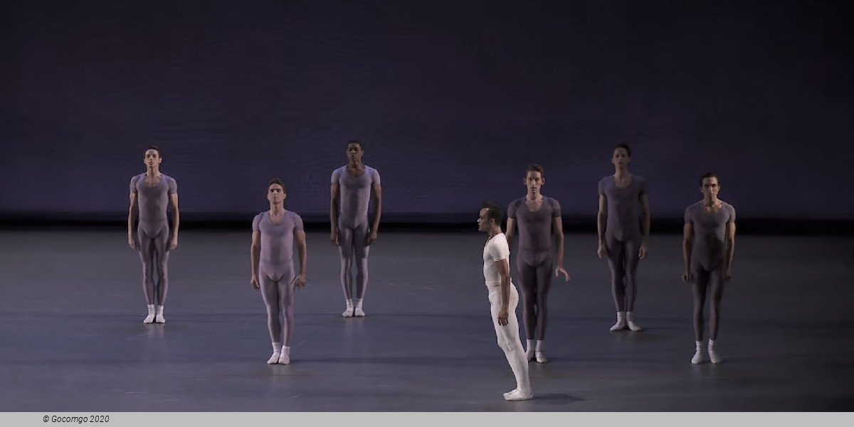 Opus 19 / The Dreamer, photo 8