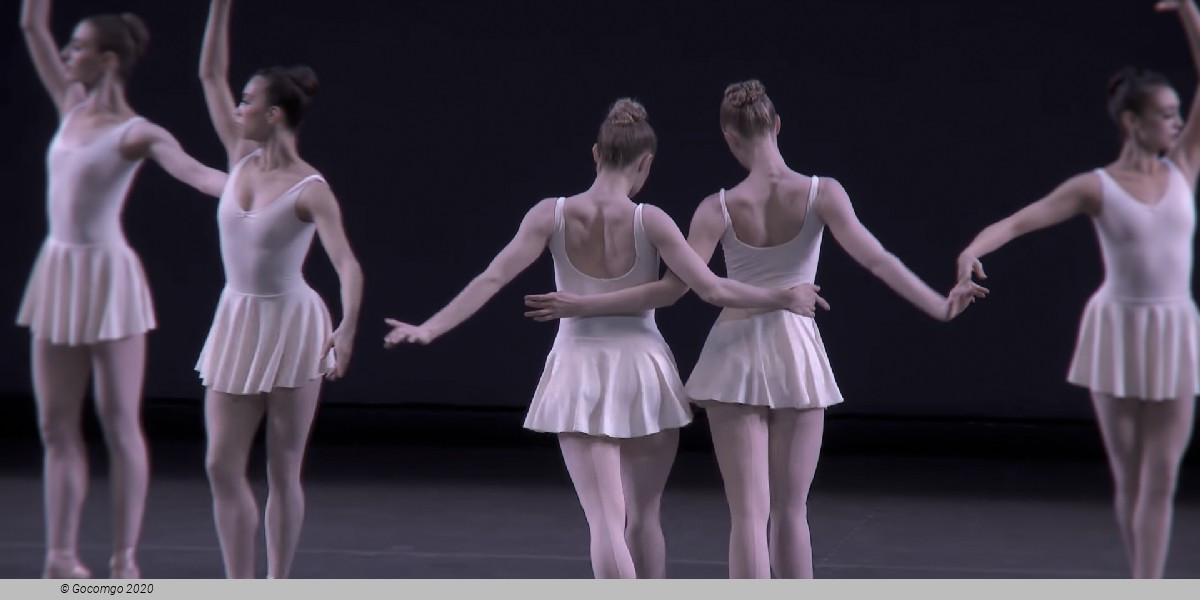 Concerto Barocco, photo 2