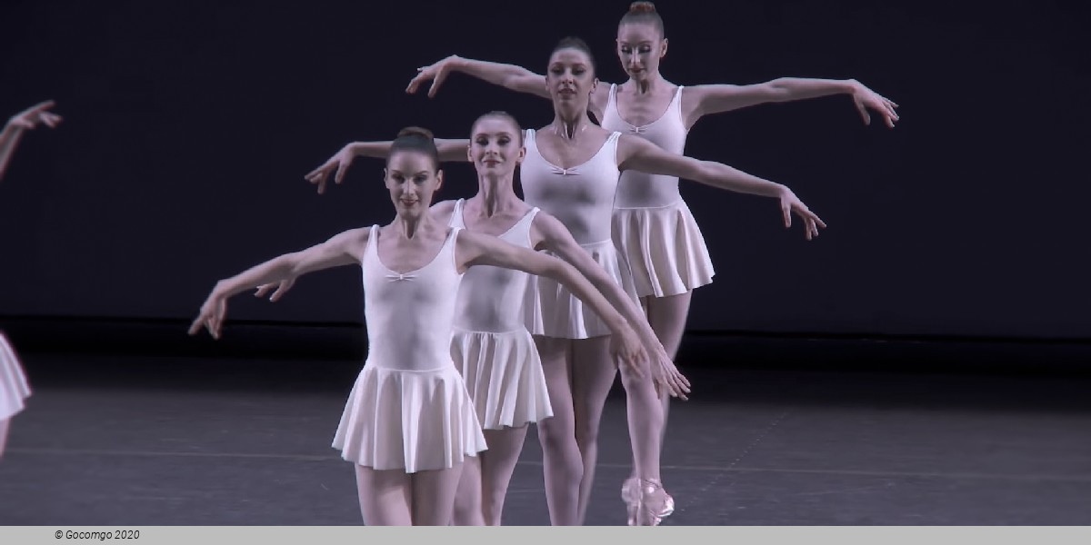 Concerto Barocco, photo 3