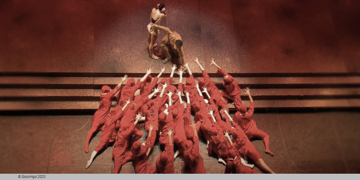 Notre-Dame de Paris, photo 4