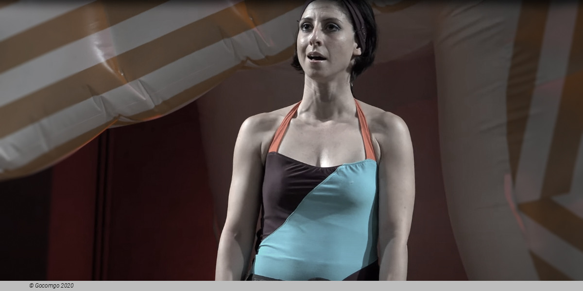 Impresario Dotcom, photo 1