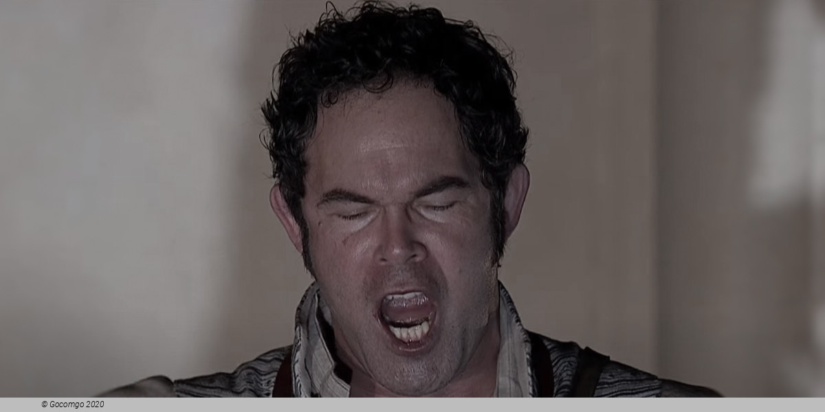 Die Meistersinger von Nürnberg, photo 2