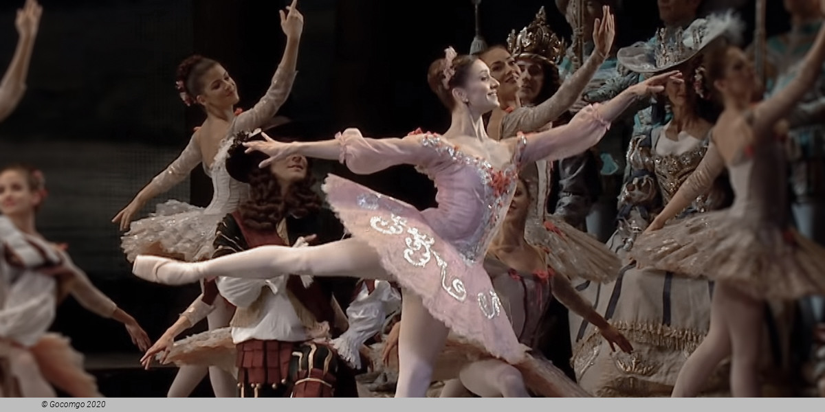 The Sleeping Beauty, photo 1