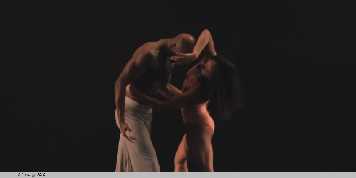 Scene 4 from the modern ballet "After the Rain Pas de deux", photo 10