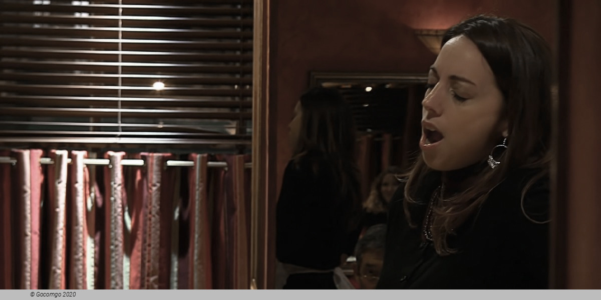 Bel Canto Opera and Dinner, photo 1