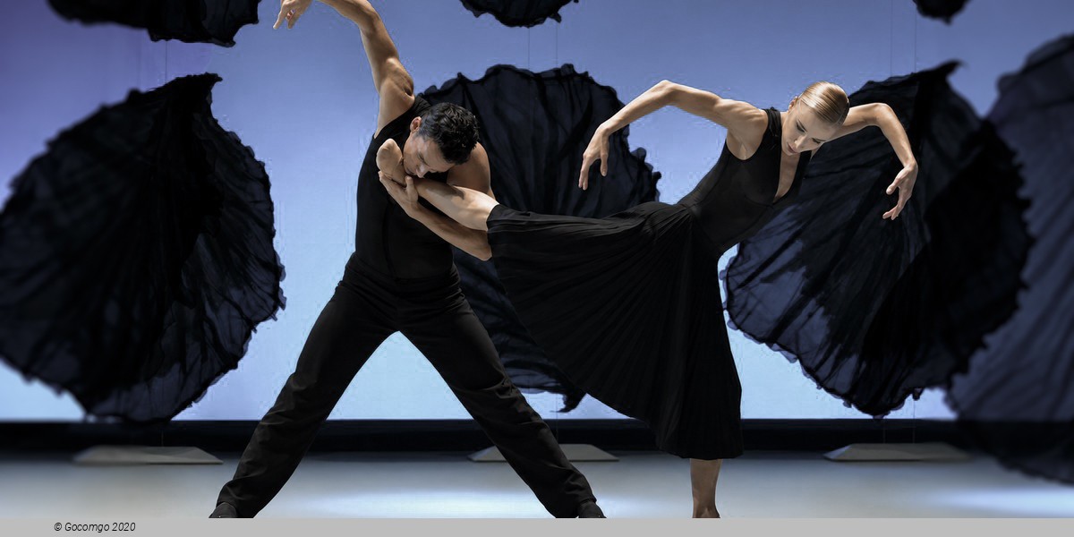 Malandain Ballet Biarritz: Les Saisons