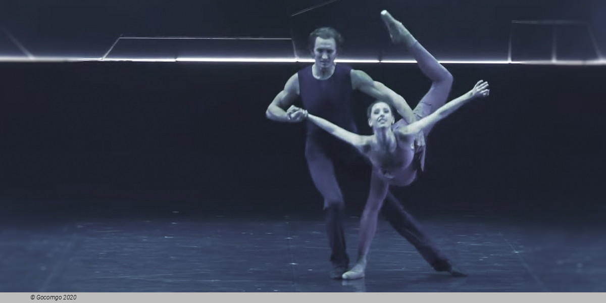 The Seagull. A Ballet Story, photo 4