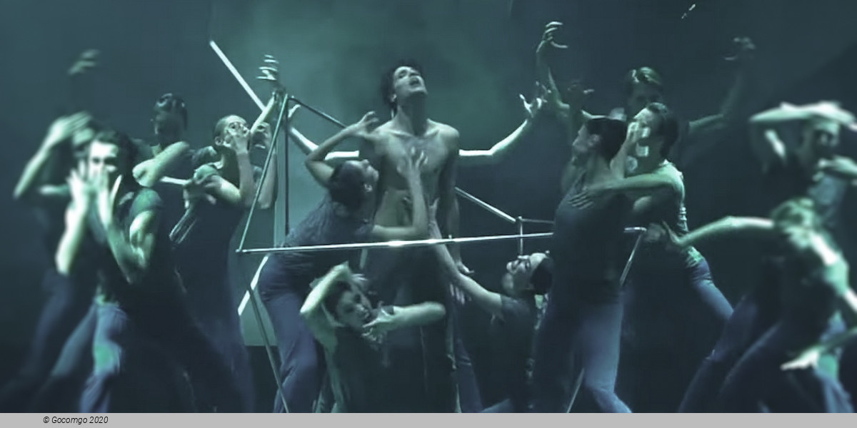 The Seagull. A Ballet Story, photo 8