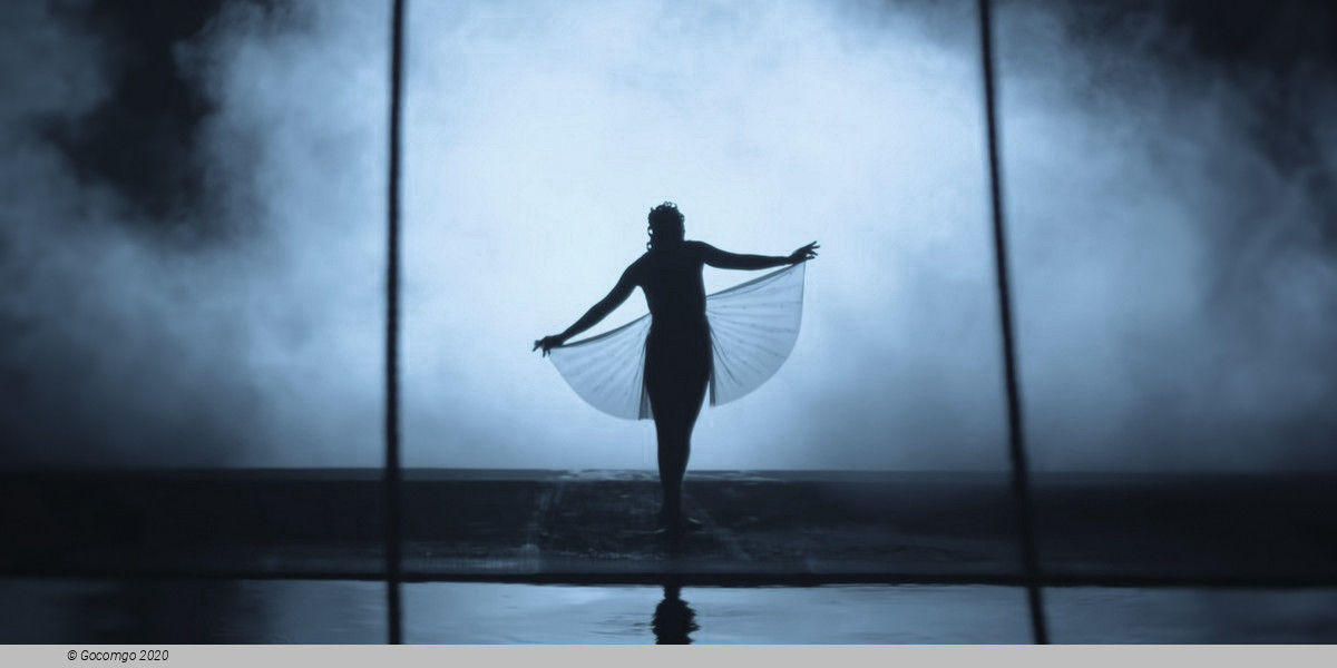 "O" by Cirque du Solei