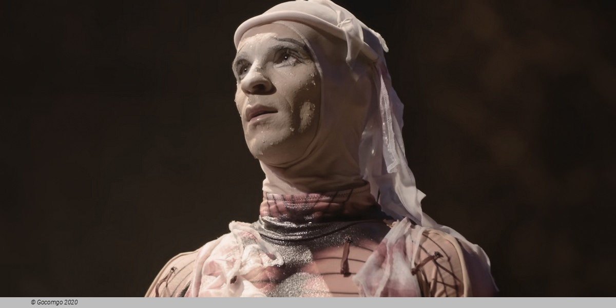 "O" by Cirque du Solei