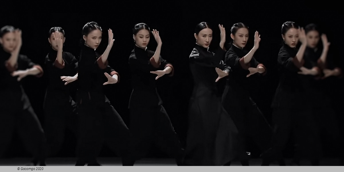 Dance drama "Wing Chun". Shenzhen Opera and Dance Theater production, photo 2