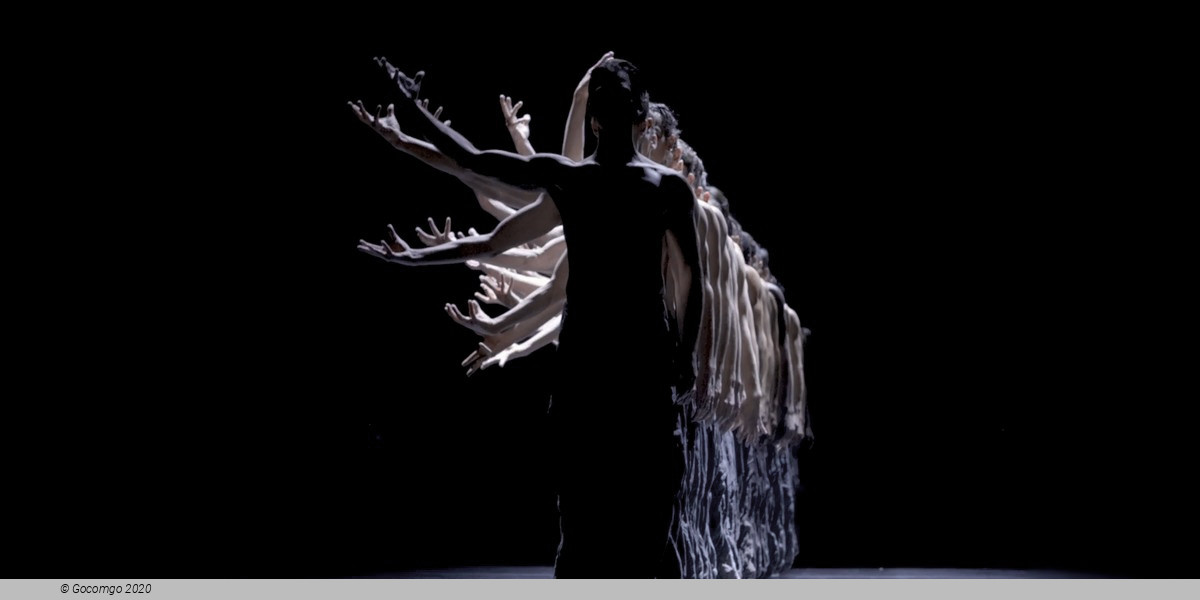 An evening of modern ballet "Vibrations": Dreams This Way. Solo for Two. The Seasons’ Canon, photo 2