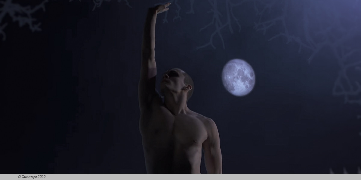 Matthew Bourne's "Swan Lake": The Next Generation