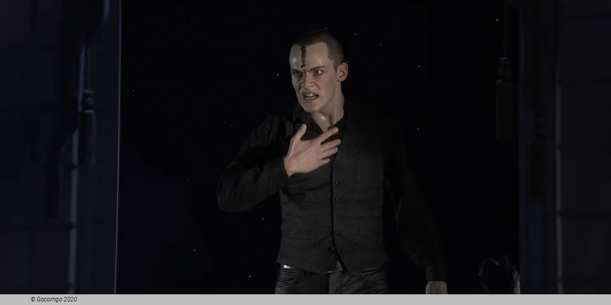 Matthew Bourne's "Swan Lake": The Next Generation