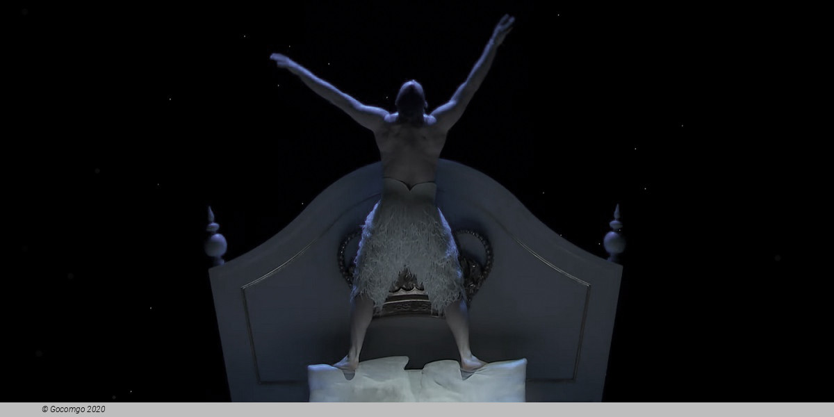 Matthew Bourne's "Swan Lake": The Next Generation