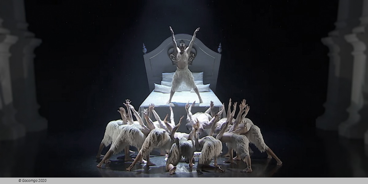 Matthew Bourne's "Swan Lake": The Next Generation