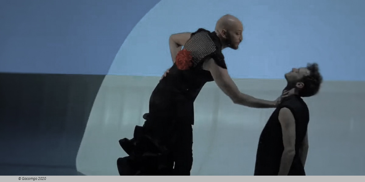 Car/men - Compagnie Chicos Mambo