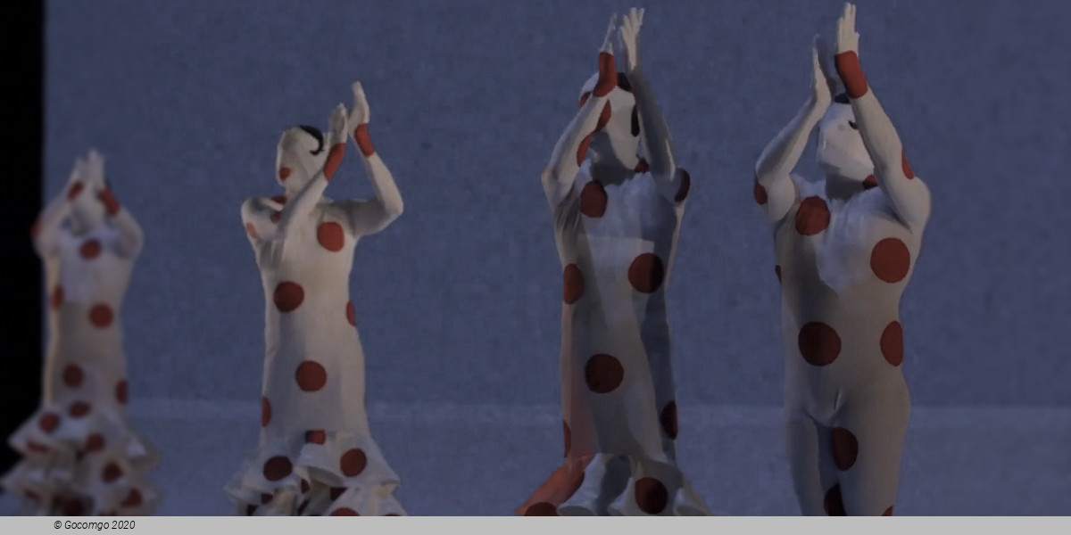 Car/men - Compagnie Chicos Mambo