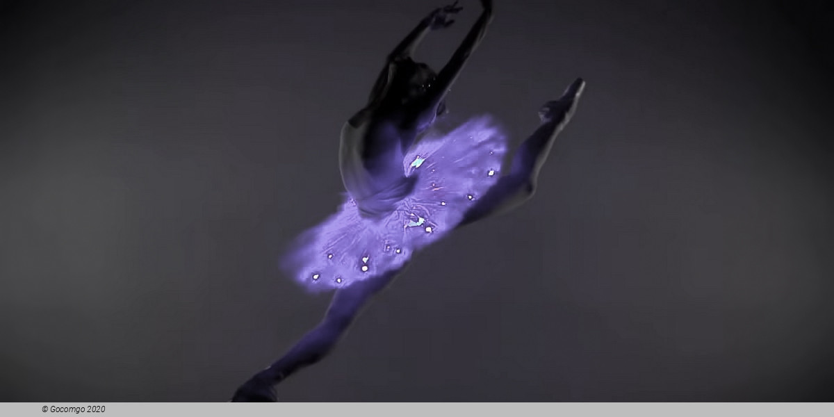 Ballet of Lights: Peter Pan in a Sparkling Show