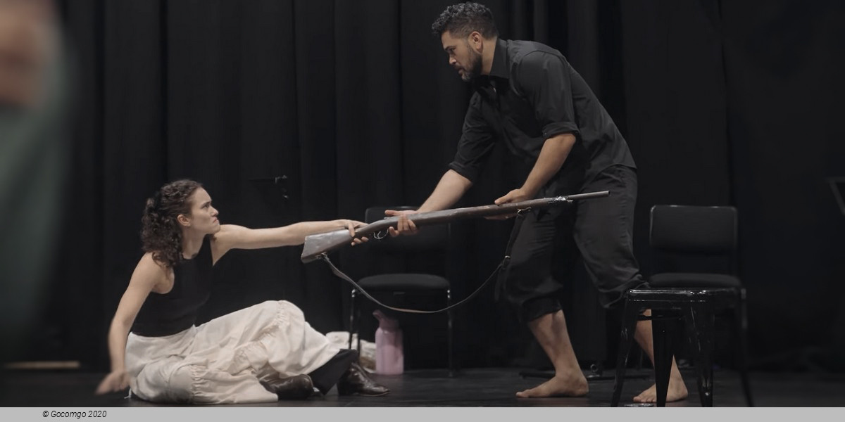 The Drover’s Wife, photo 3