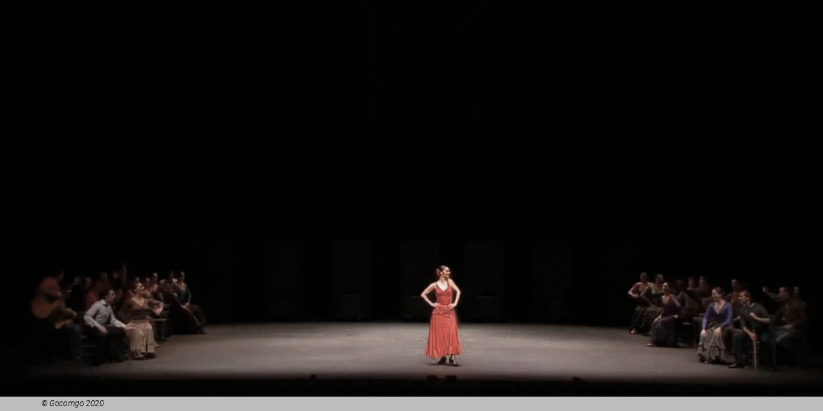 Dancing in the Dark, photo 2