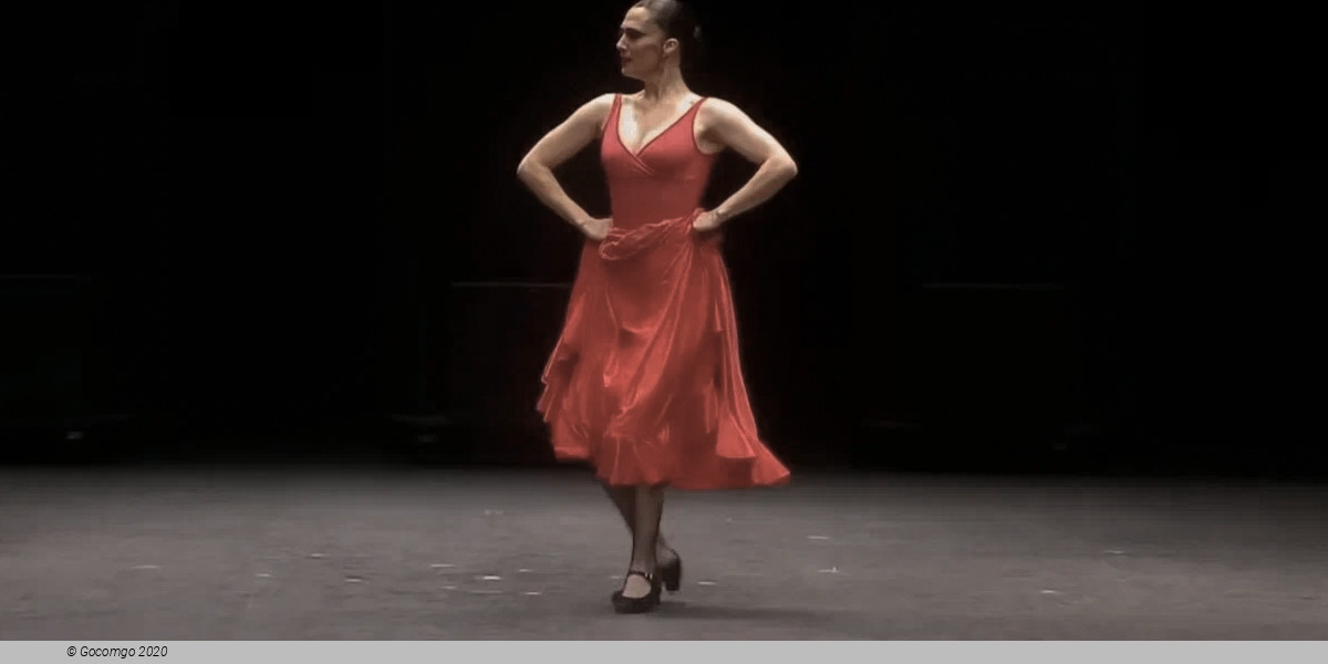 Dancing in the Dark, photo 3