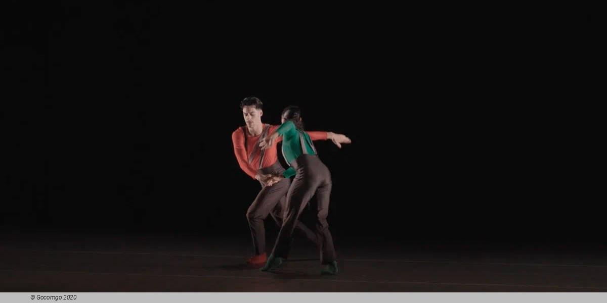 Third Person Point of View, photo 4